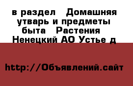  в раздел : Домашняя утварь и предметы быта » Растения . Ненецкий АО,Устье д.